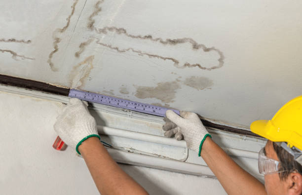Reliable Burst Pipe Cleanup contractor in Sugar Land, TX by Local Water Damage Repair